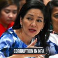 Hontiveros bares Jason Aquino's corruption in NFA