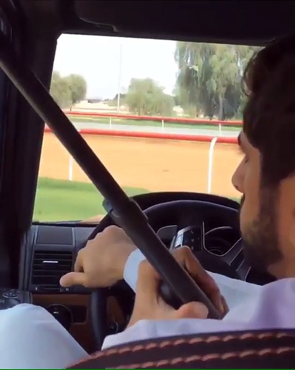 Sheikh Hamdan rescues entangled oryx in Dubai, UAE