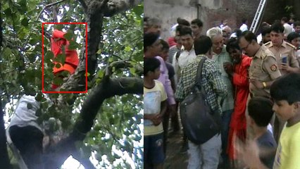 यूपी: बैग चोरी होने के डर से साधु चढ़ा पेड़ के उपर, दमकल कर्मियों ने जाल के सहारे नीचे उतारा