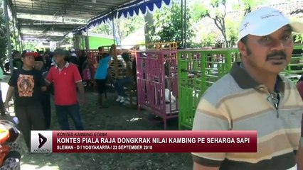 Kontes piala raja dongkrak nilai kambing PE seharga sapi