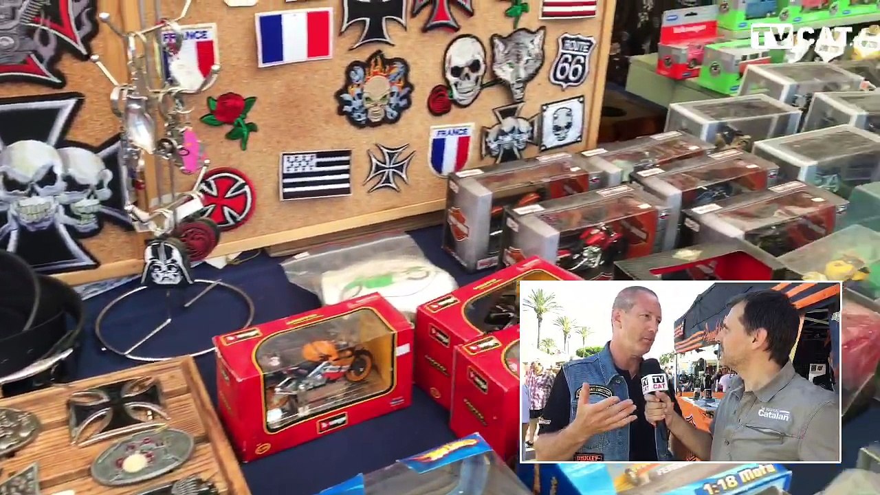 Rassemblement de bikers Harley Davidson à Saint-Cyprien #TVCAT