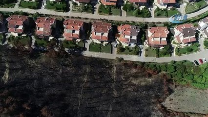 Havadan görüntülendi! Küle dönen ormanla ilgili yeni açıklama