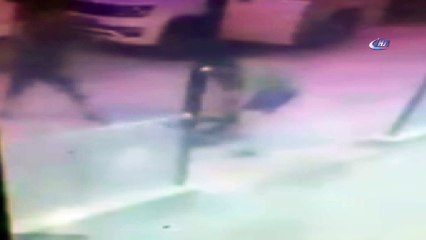 Pitbull vahşeti kamerada