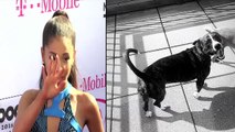Ariana Grande's Taking Care Of Ex Mac Miller's Dog Myron After His Passing!