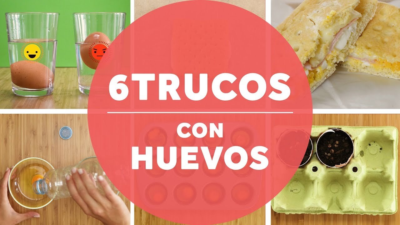 Los mejores trucos con huevos que jamás has visto  by Muy Facilito