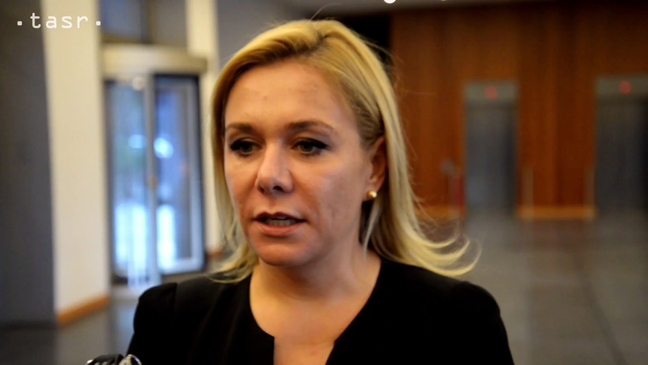 Berlín: Ministerka Saková rokovala s nemeckým ministrom vnútra o únose Vietnamca a migračnej otázke