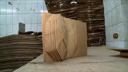 هذا الصباح- أكياس ورقية صديقة للبيئة في مصر