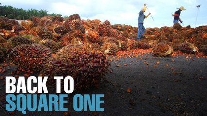 NEWS: Govt backtracks on foreign worker levy