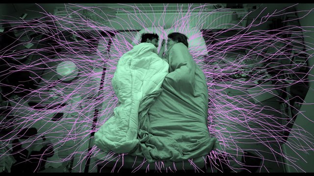 Je suis resté dans les bois bande annonce