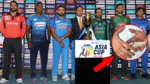 Asia Cup 2018: Afghanistan Wicket-Keeper Mohammad Shahzad Reports Spot-Fixing Approach