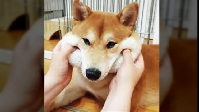 유성출장안마 010s2189s0407신용후불제 아가씨미팅후결제 유성출장마사지 최고미녀대기중 마인드최고 교육철저 유성출장맛사지 내상절대불가 수질최한 안전한신용후불제 20대아가씨대기중 극한수위 특별한서비스