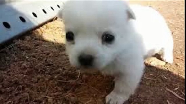 대전출장안마 010s4636s7917 아가씨미팅후결제 신용후불제 대전출장마사지 최고미녀대기중 마인드최고 교육철저 대전출장맛사지 내상절대불가 수질최한 안전한신용후불제 20대아가씨대기중 극한수위 특별한서비스