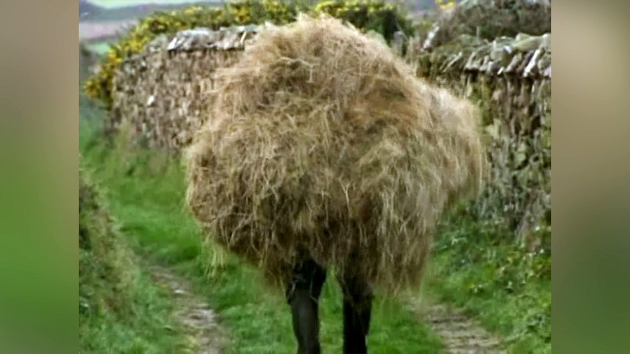 Bande-annonce : Paul dans sa vie