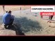 Mackerel Caught By Tide, Stranded on British Beach | SWNS TV