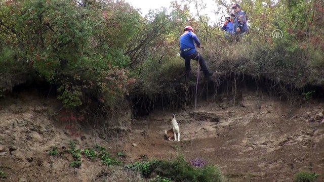 Uçurumda mahsur kalan köpek kurtarıldı - BARTIN