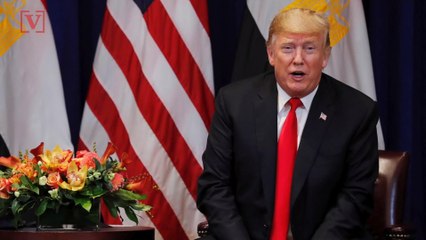 Trump Touts New Poll Showing Republicans Having Highest Favorability in 7 years