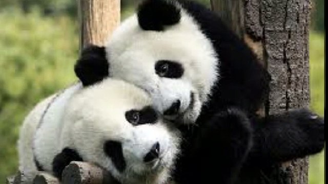 유성출장안마 010s2697s8303 신용후불제 유성출장마사지 최고미녀대기중 마인드최고 교육철저 유성출장맛사지 내상절대불가 수질최한 안전한신용후불제 20대아가씨대기중 극한수위 특별한서비스