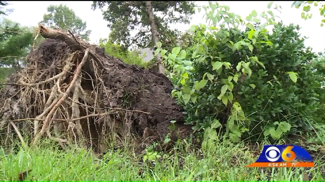 FedEx Driver Stops to Help Couple After Tornado Outbreak