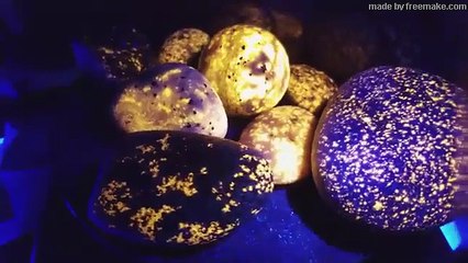 Lonely Narwhal Gets Adopted By Whales