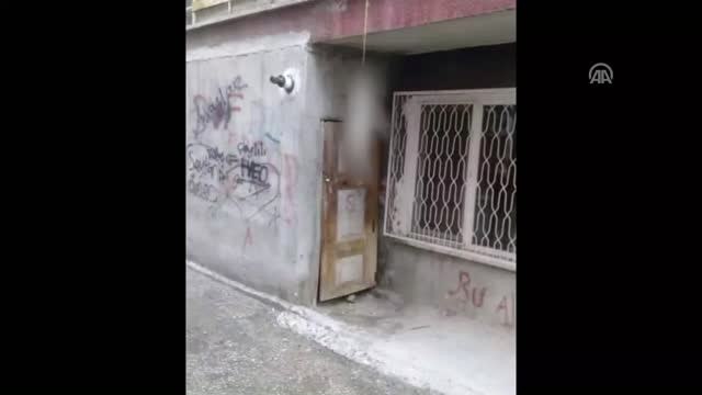 Boğazından İple Asılı Ölü Kedi Bulunmasıyla İlgili Soruşturma