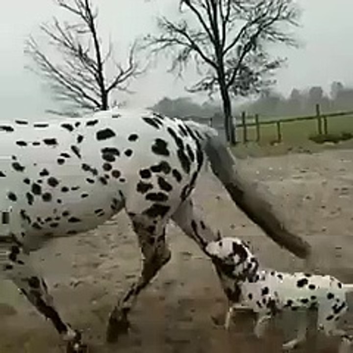 Mama Cargameeeeee Mama!! xD #Naturaleza #Bella #Inocente #Comparte