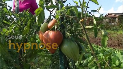 Santé : un homme opéré du cœur sous hypnose