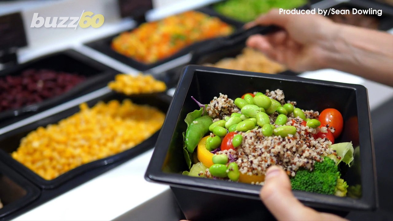 Why You Should Think Twice Before Putting Your Dog on a Vegan Diet