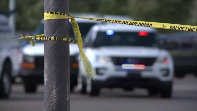 Man Accused of Fatally Stabbing Brother During Argument Over Dead Dog