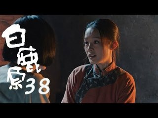 白鹿原 | White Deer 38【DVD版】（張嘉譯、秦海璐、何冰等主演）