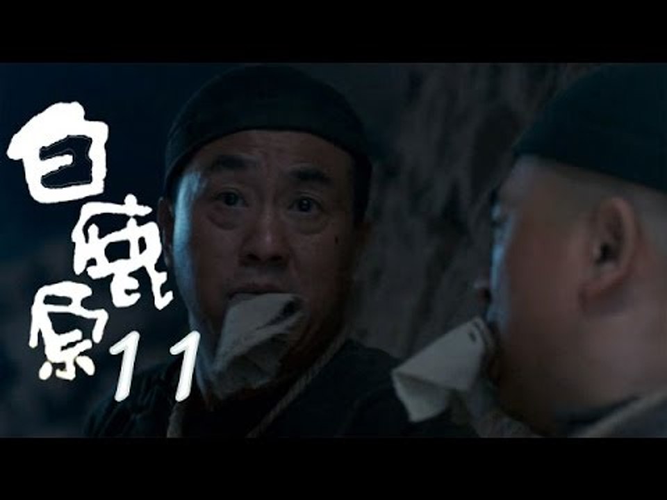 白鹿原 | White Deer 11【DVD版】（張嘉譯、秦海璐、何冰等主演）
