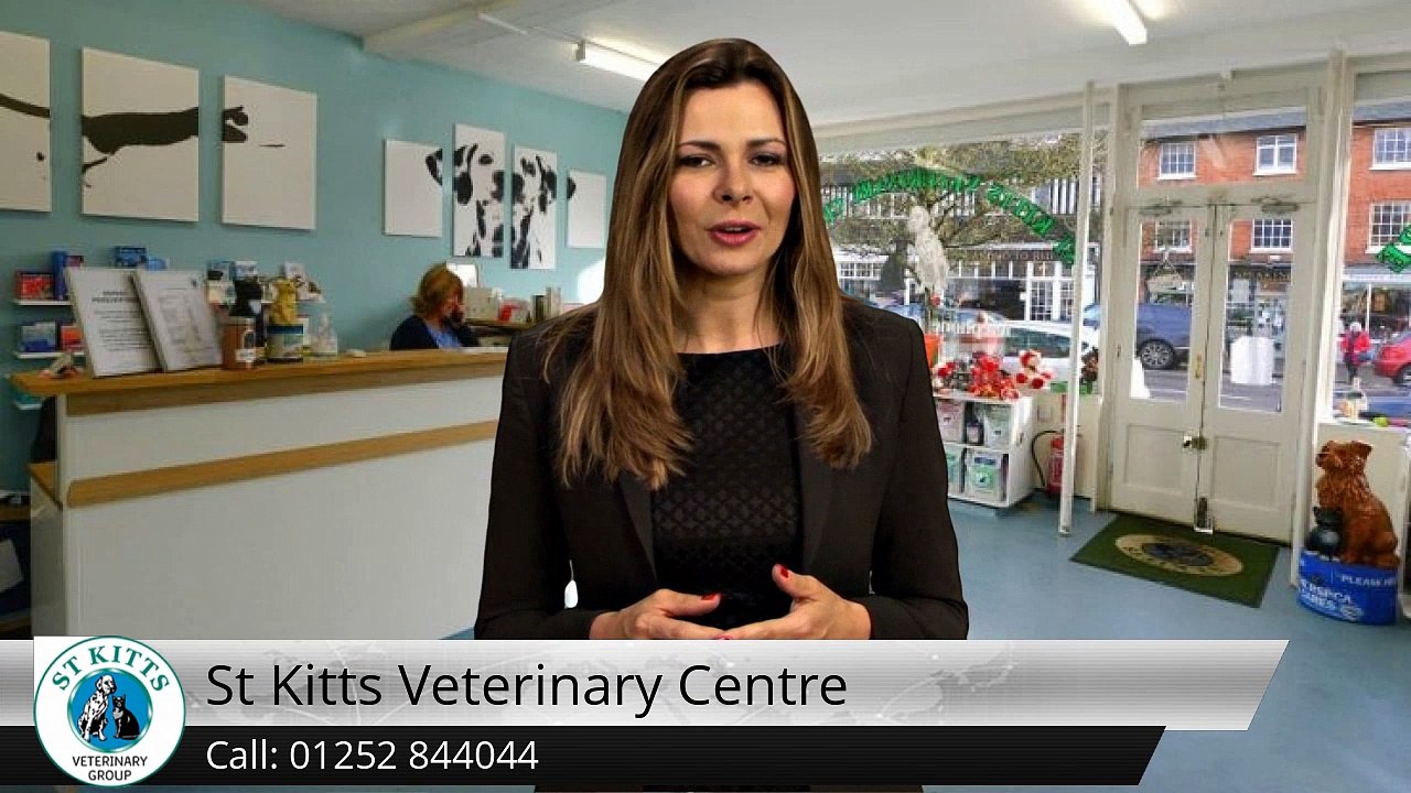 St Kitts Veterinary Centre Hartley Wintney Terrific 5 Star Review by Soph B