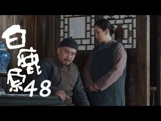 白鹿原 | White Deer 48【DVD版】（張嘉譯、秦海璐、何冰等主演）