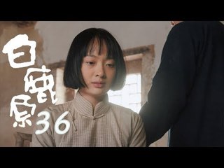 白鹿原 | White Deer 36【DVD版】（張嘉譯、秦海璐、何冰等主演）