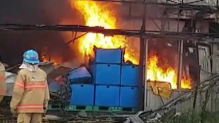 시흥 플라스틱 공장에서 불...숨진 중국인이 방화 / YTN