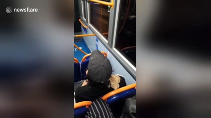 Bearded dragon rides night bus in south London