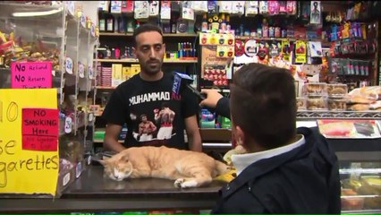 Video Shows Man Set Fire to NYC Bodega After Making Anti-Muslim Comments