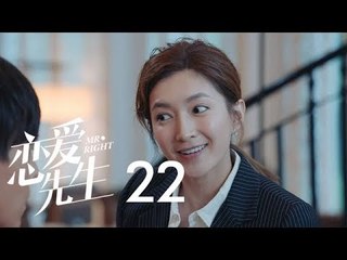 戀愛先生 | Mr Right 22【DVD版】（靳東、江疏影、李乃文、李宗翰等主演）