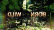Born in the Wild (Lifetime) S01 - Ep01 Alaska Remote and UnAs'sisted HD Watch