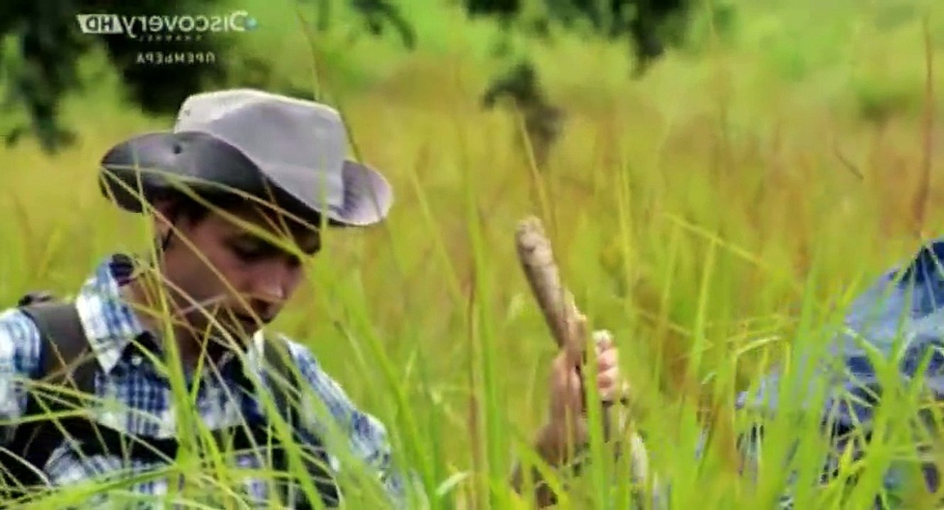 Bear Grylls Breaking Point S01 - Ep06 Trees and Insects HD Watch