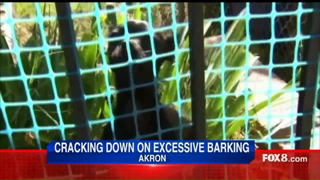 Owners Whose Dogs Won`t Stop Barking Could End Up Behind Bars in Akron