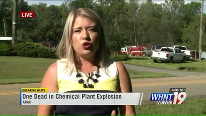 1 Killed in Explosion at Chemical Plant in Alabama