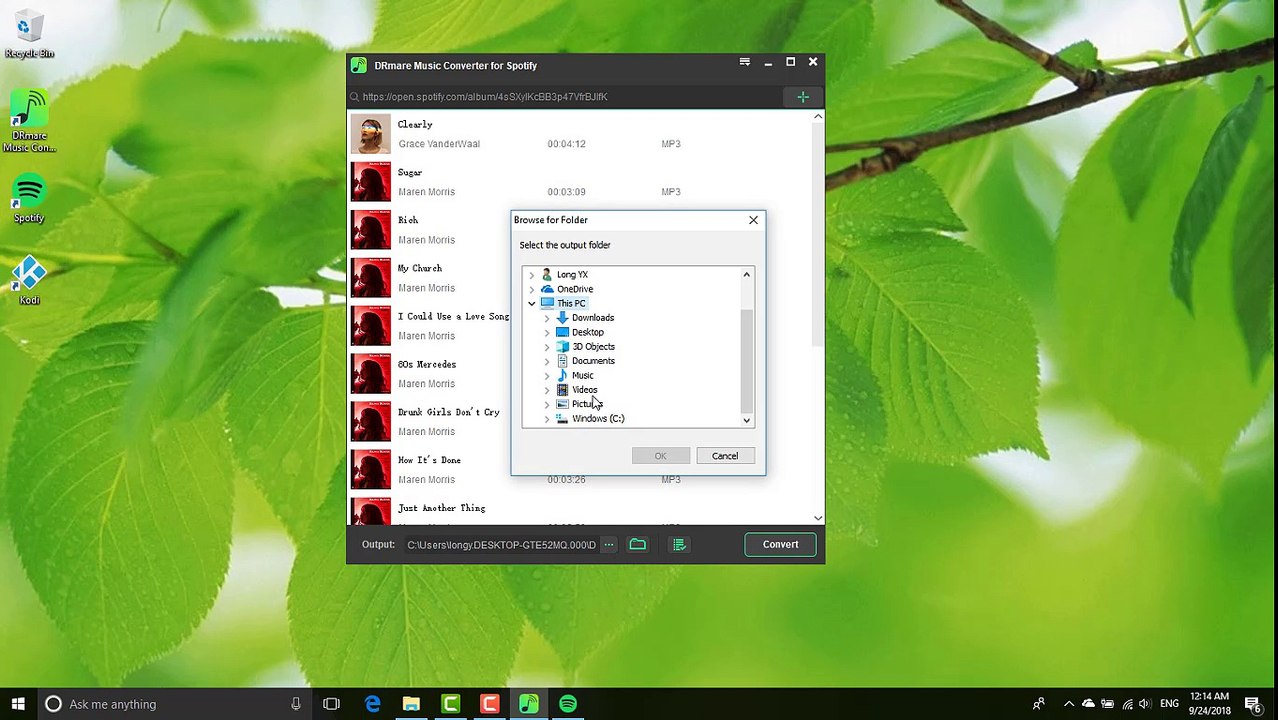 How to Get Spotify Songs on Kodi