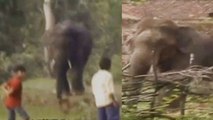 Chhattisgarh : Wild Elephants enters the human Habitation, Wrecks Havoc | Oneindia News