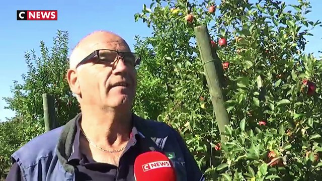 Les travailleurs saisonniers, perdants du budget 2019 ? - 26/09/2018