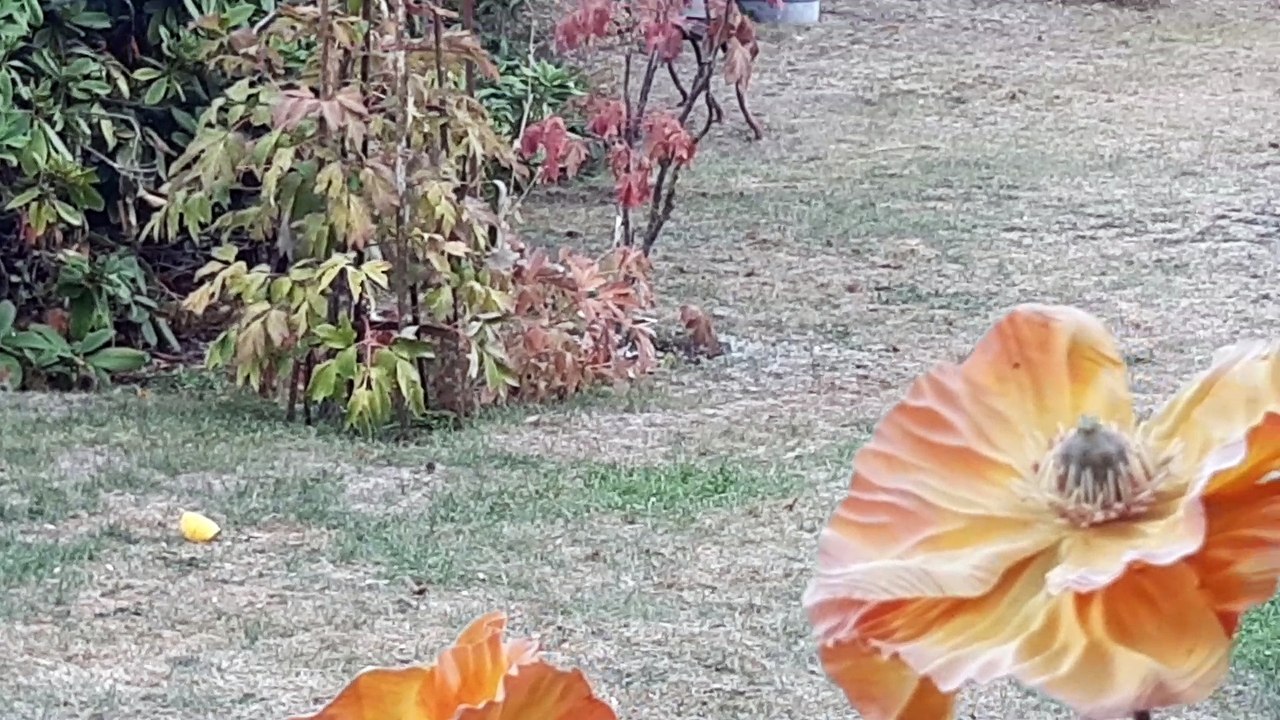 Retrouvailles avec Scott (Oxford)