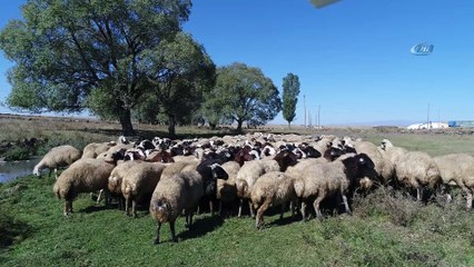Göçerlerin dönüş yolculuğu drone ile görüntülendi