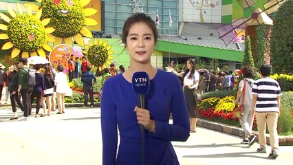 [날씨] 내륙 쾌청, 선선...해상 높은 파도 / YTN