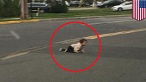Viral photo shows baby crawling across Lakewood road