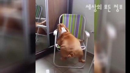 포항출장마사지[Ø7Ø↔5222↔8186]『카톡↔SXX77』【선입금NO!】포항출장안마 포항출장안마 출장안마코스 포항출장마사지-황제 포항출장마사지=포항콜걸