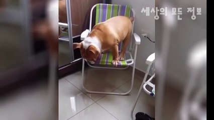 하남출장마사지[Ø7Ø↔5222↔8186]『카톡↔SXX77』【선입금NO!】하남출장안마 하남출장안마 출장안마코스 하남출장마사지-황제 하남출장마사지=하남콜걸